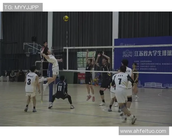 重庆排球队的精神风貌与发展历程探讨